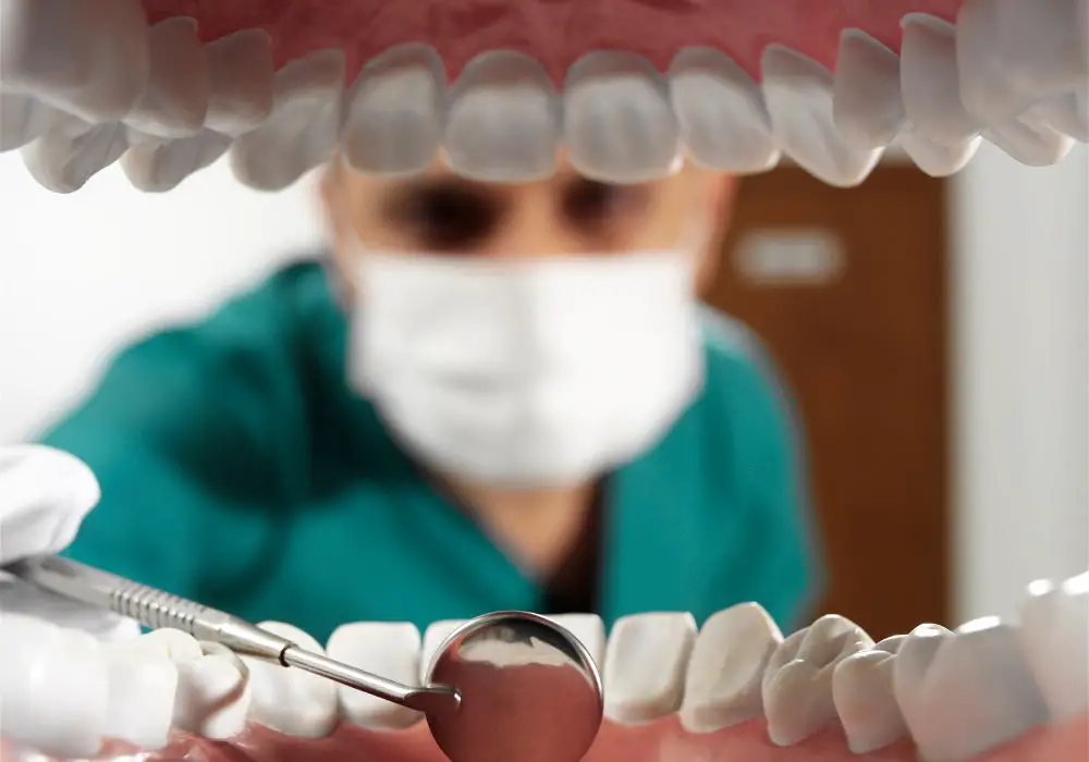 How much does a dental checkup cost