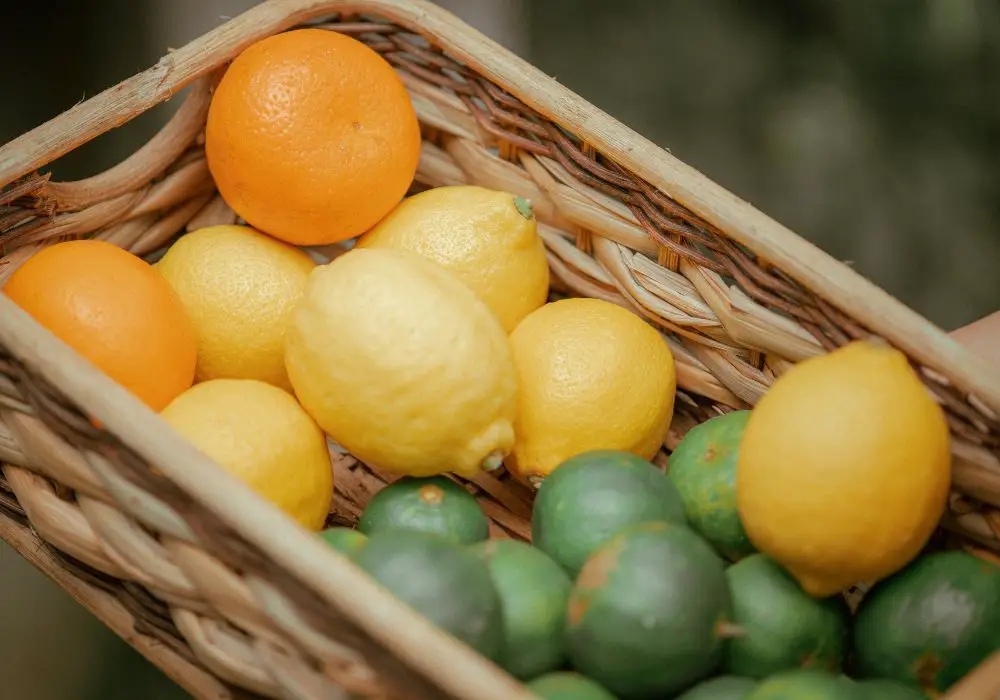 Citrus fruits