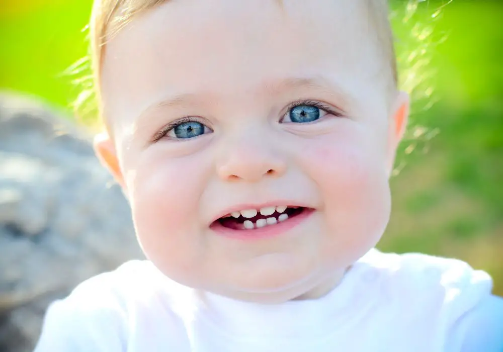 Disposing of Baby Teeth Based on Traditions