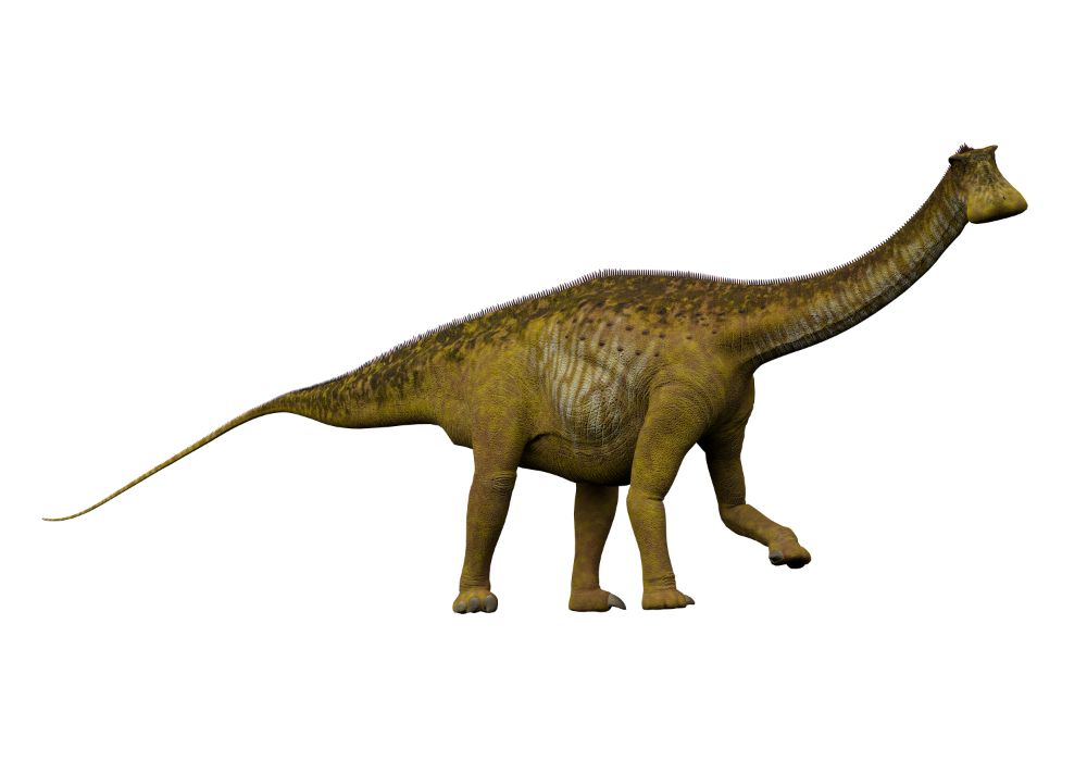 Interesting Facts About Nigersaurus