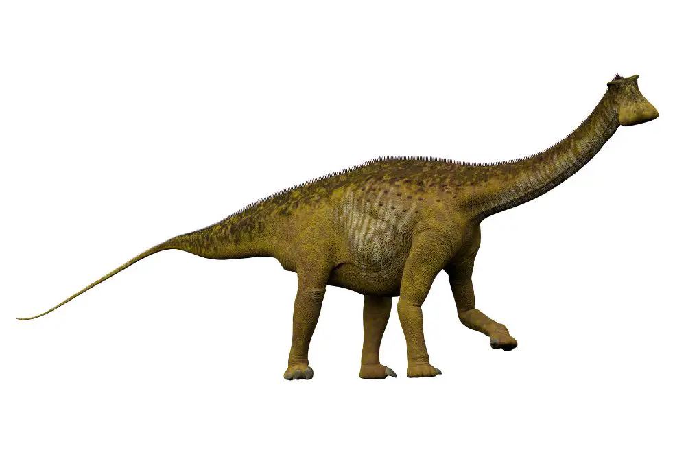 Nigersaurus