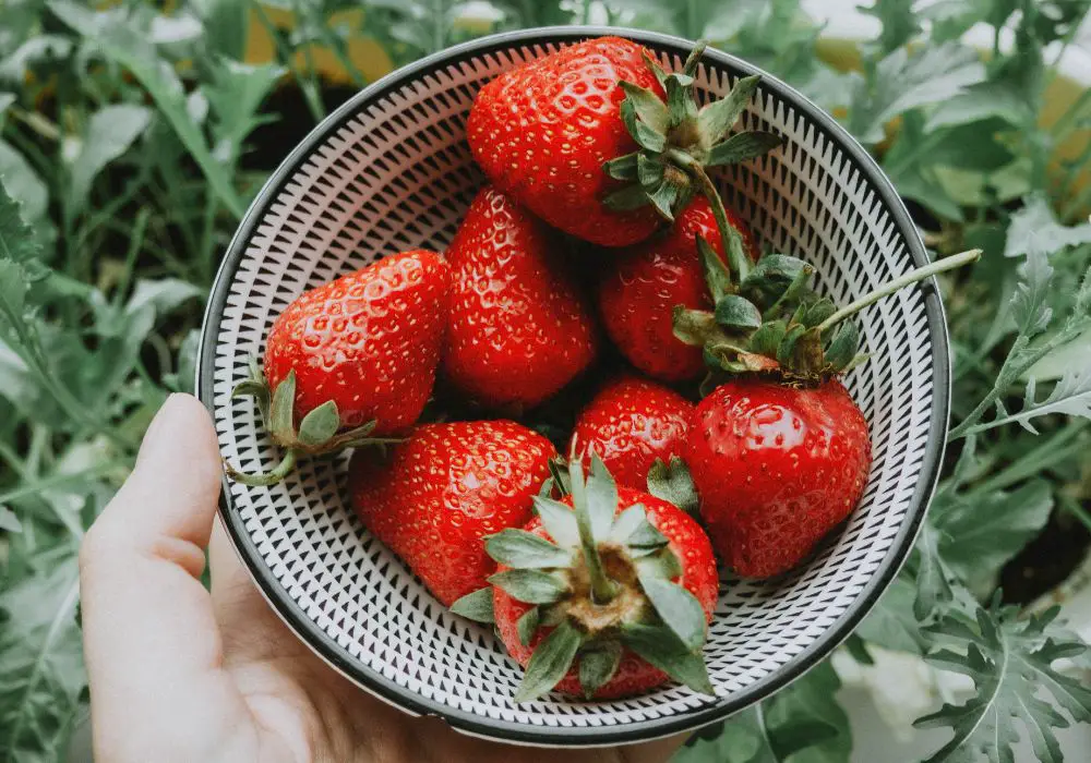 Strawberries