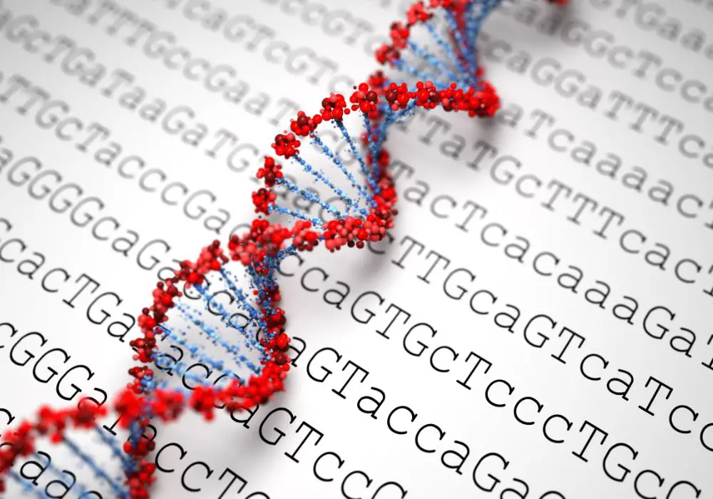 Analyzing DNA from Teeth Samples