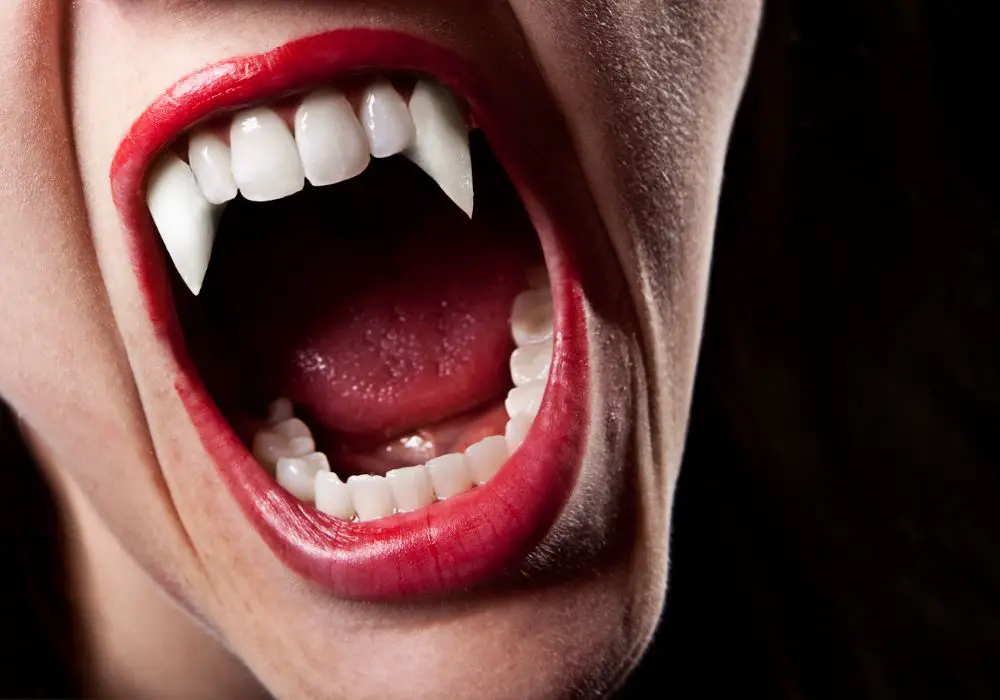 Can I use dental glue for vampire teeth?(Explained)