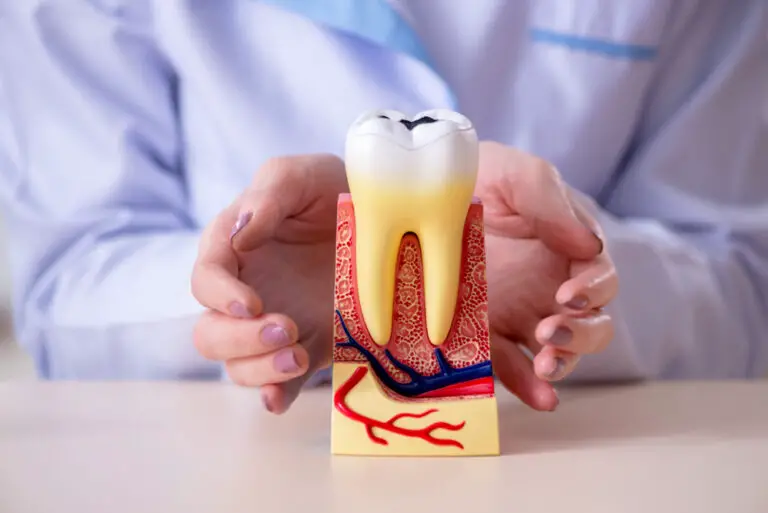 Can Nerves Be Taken Out Of Teeth? (Everything You Need To Know)