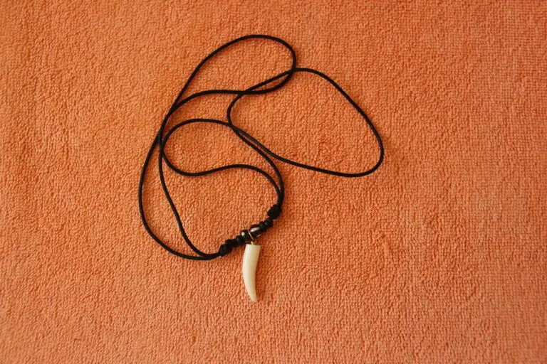 Can You Wear a Shark Tooth Necklace in Water? Tips for Wearing Your Favorite Accessory While Swimming