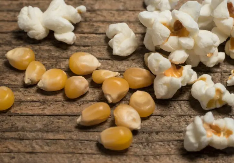 Can Unpopped Kernels Break Teeth? (Everything You Need To Know)