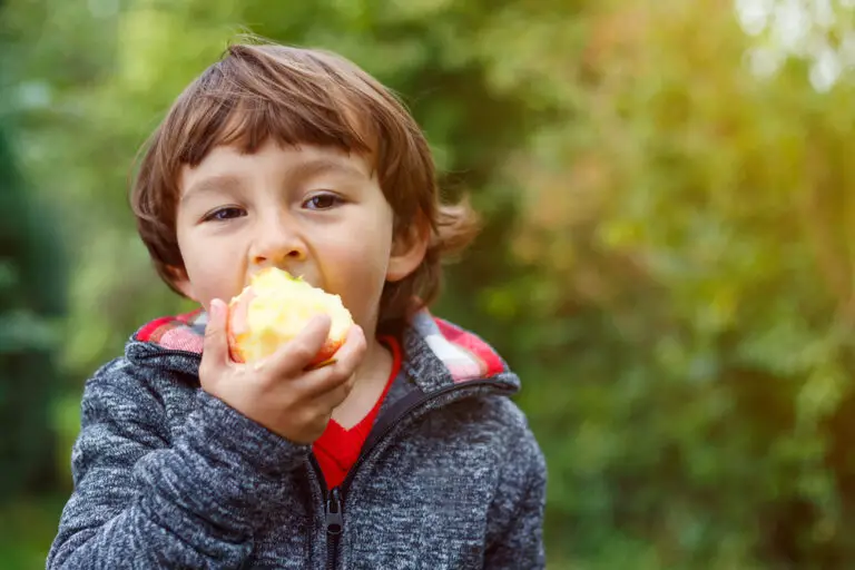 Do Apples Fight Cavities? (5 Effective Cavity-Fighting Tools)