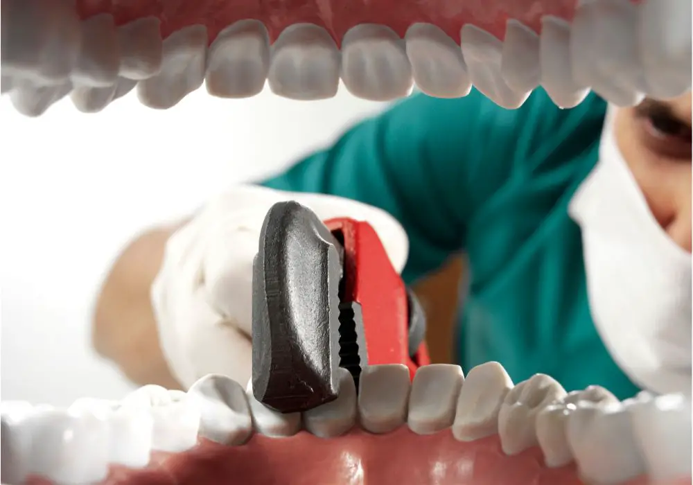 How a loose permanent tooth may be able to reattach