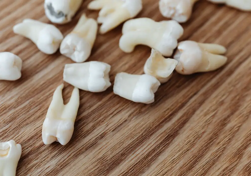 Outlook for Regrowing Human Teeth