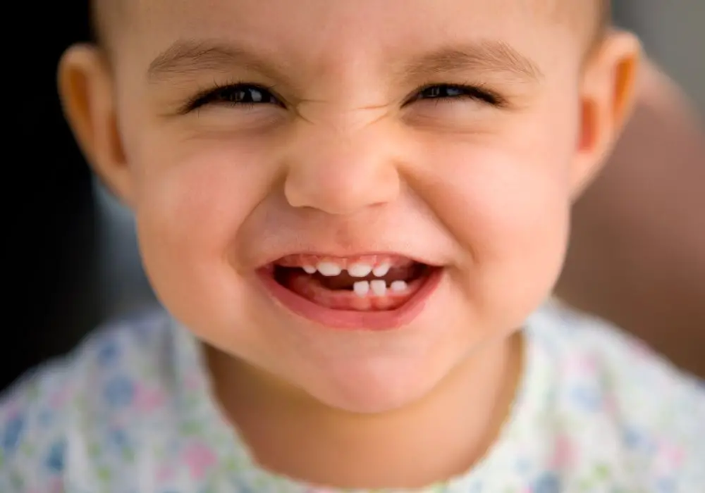 Permanent Teeth Morphogenesis and Development