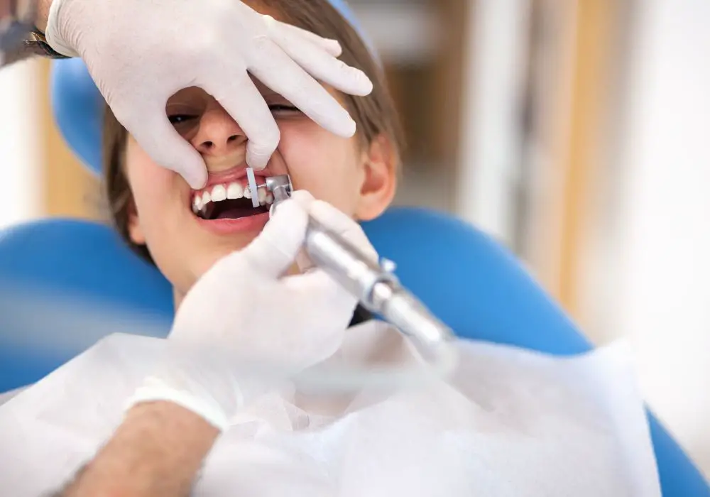 Schedule Regular Dental Cleanings and Treatments