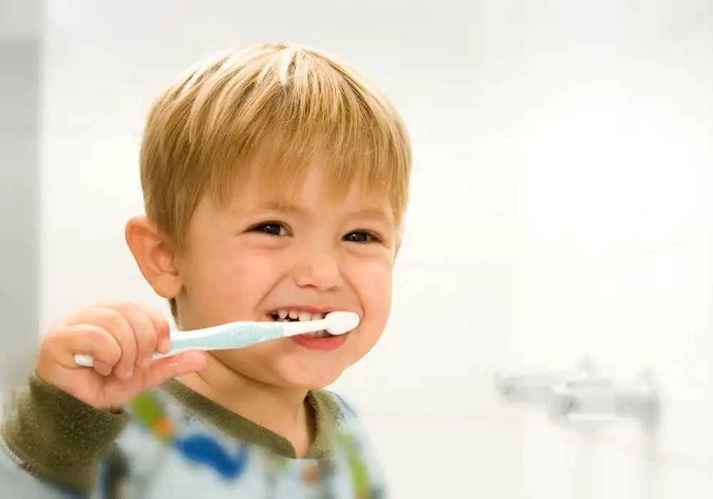 School Dental Care Support