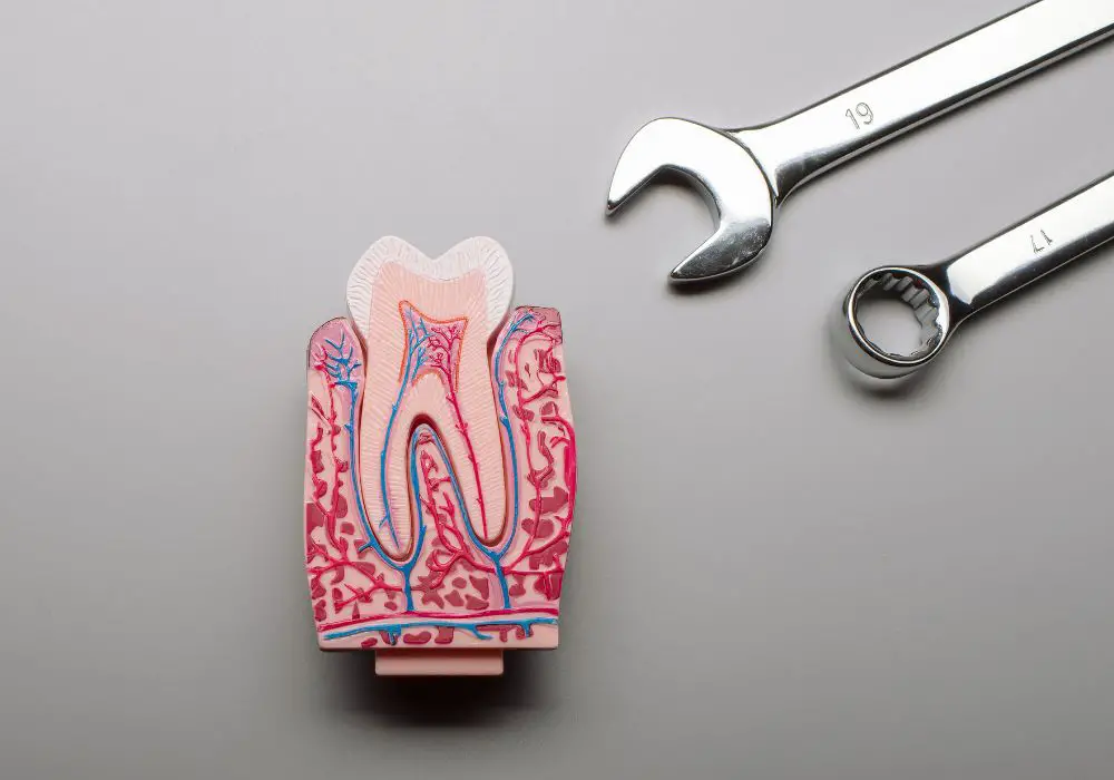 The Complex Structure and Strength of Teeth