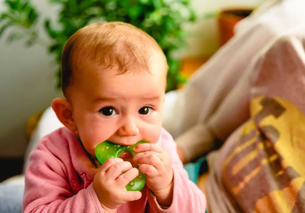 Types of Solid Foods Babies Can Eat Without Teeth