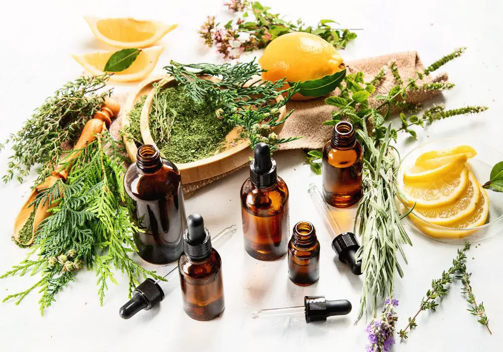 Understanding Essential Oils