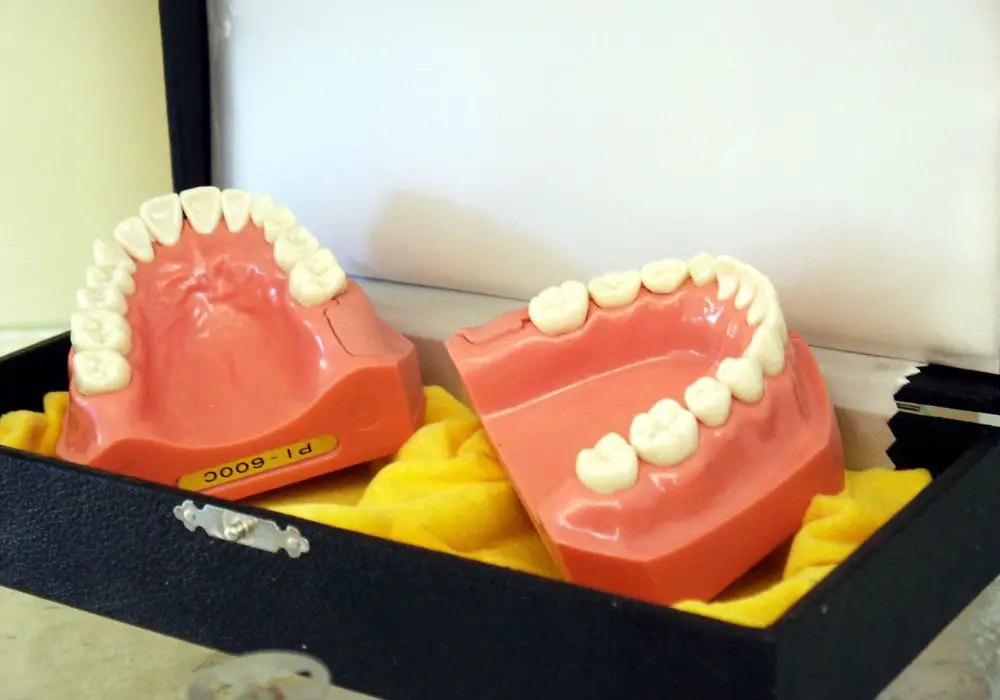 What Makes Artificial Teeth Look Real?