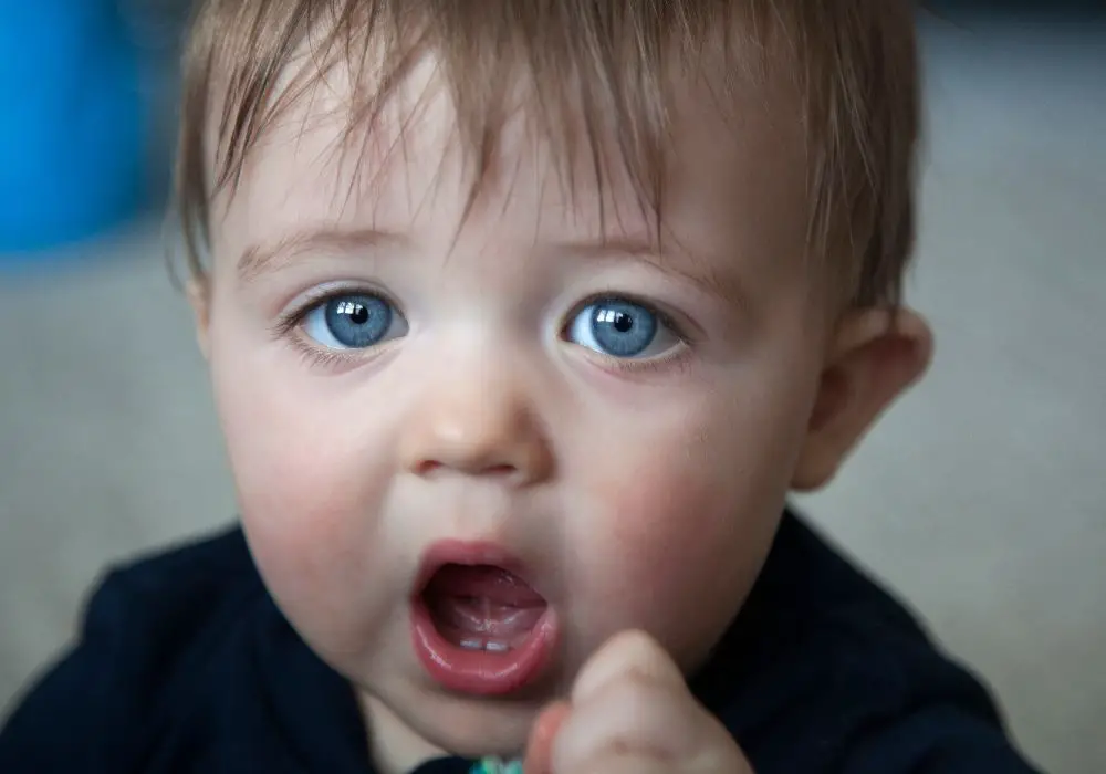 What does teething look like on gums