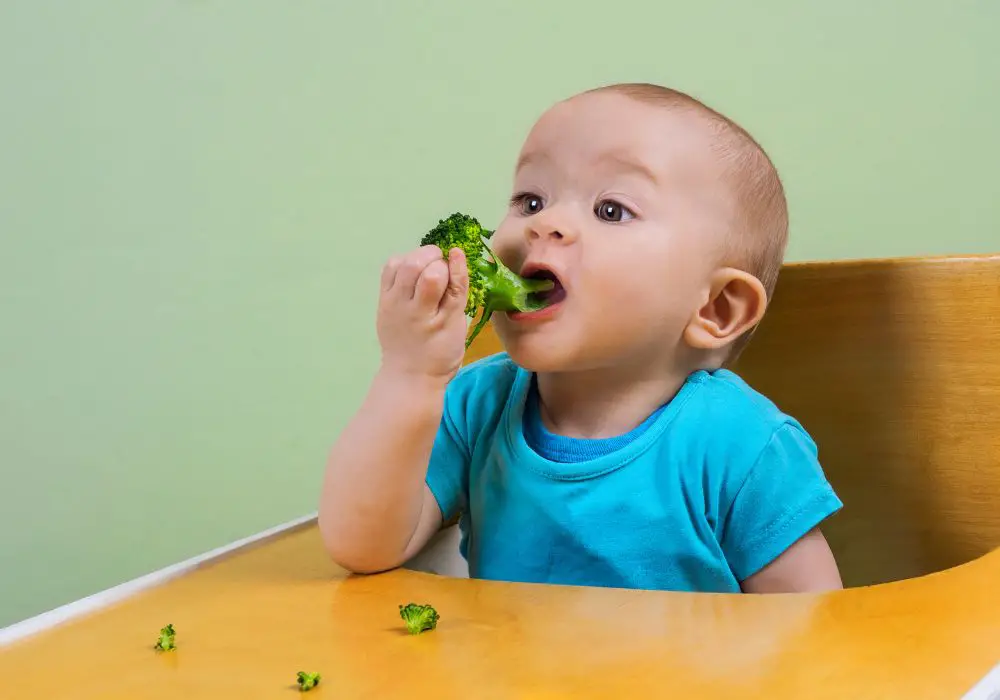 What foods can babies eat without teeth