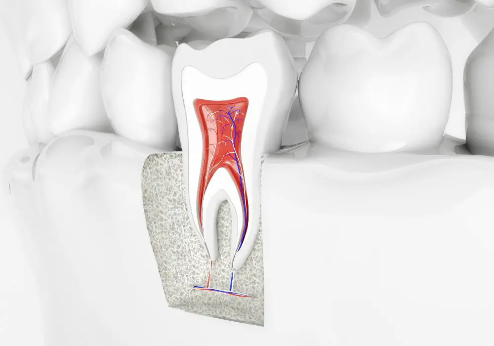 Arteries and Oral Health