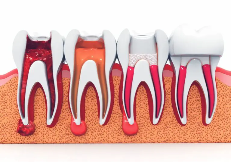 Do Teeth Have Arteries? Exploring the Blood Supply to Your Pearly Whites