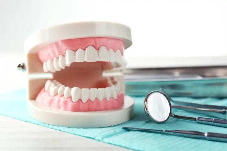 Does Tooth 5 Have 2 Roots? A Quick Guide to Understanding Your Tooth Anatomy