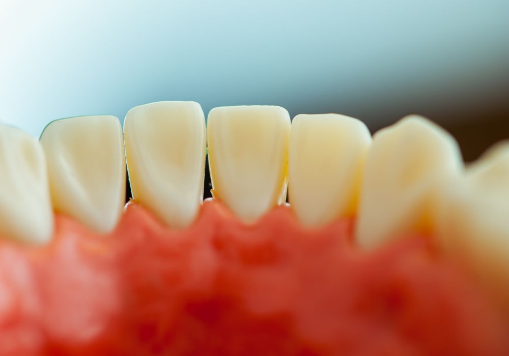Factors Affecting Calcium Absorption in Teeth