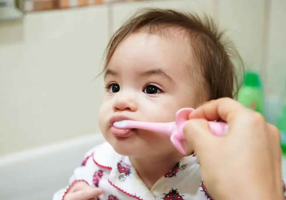 How Often Should You Brush