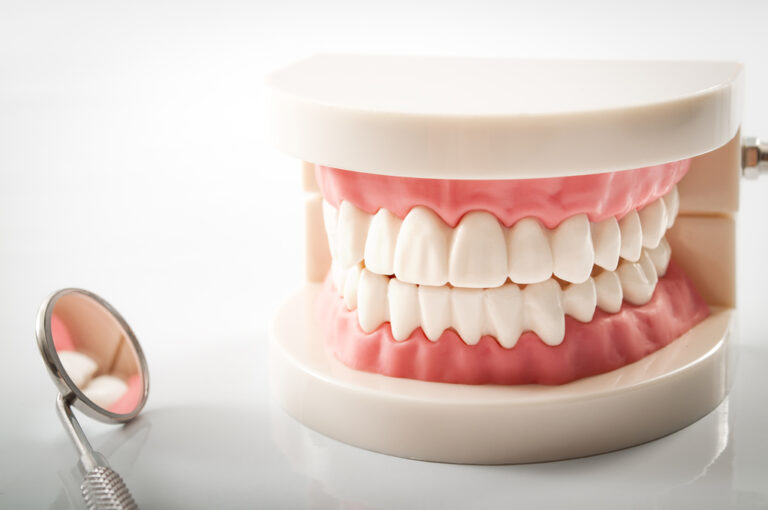 Is Teeth a Bone or Tissue? Exploring the Anatomy of Your Pearly Whites