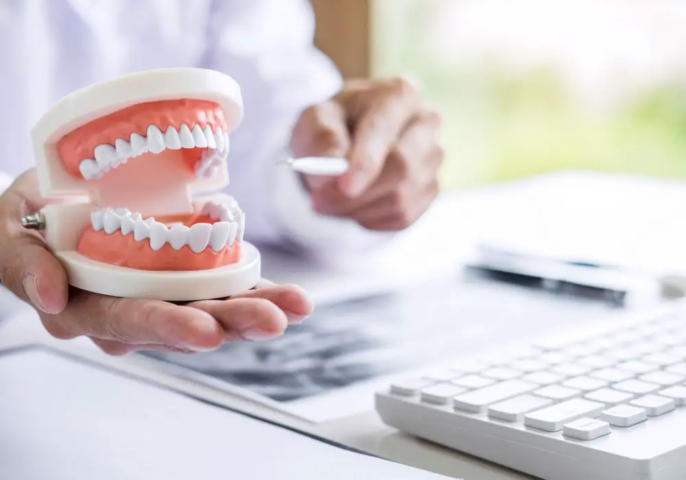 Role and Function of Teeth 30 and 31