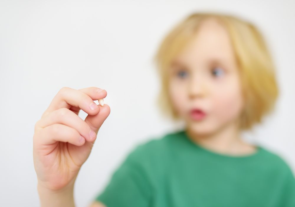 Size of Baby Teeth