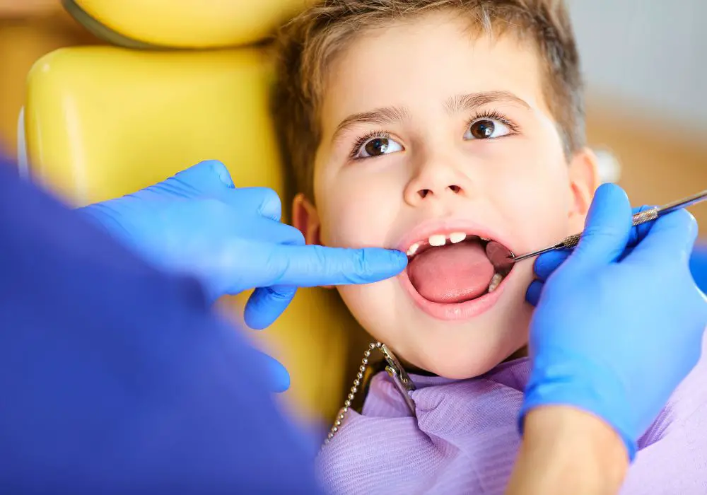 Stages of Tooth Growth