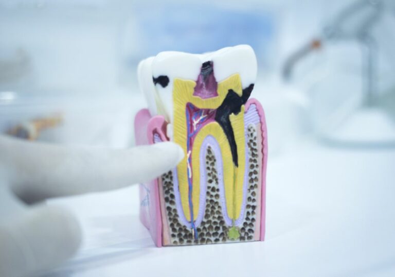 Do Men Have Thicker Teeth? Exploring Gender Differences in Dental Anatomy