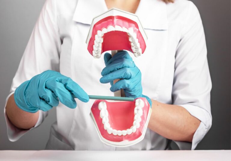 Do Teeth Sit in the Jaw? Understanding Tooth Structure and Placement