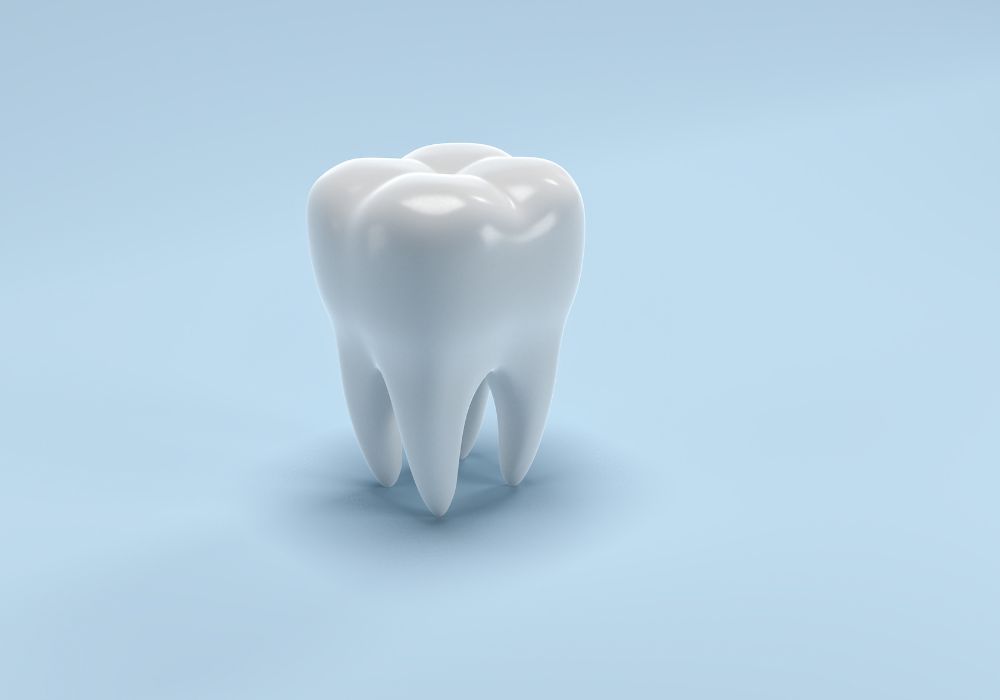Understand Tooth Anatomy