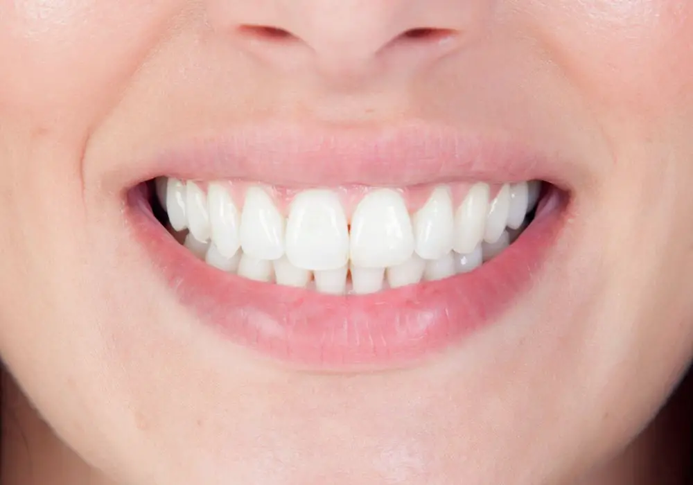 Understanding Human Dentition