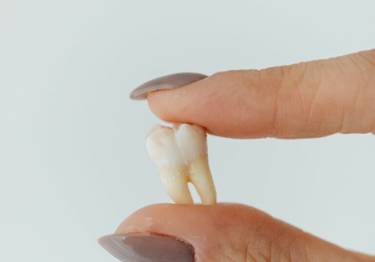 What is Tooth and Teeth? A Friendly Explanation
