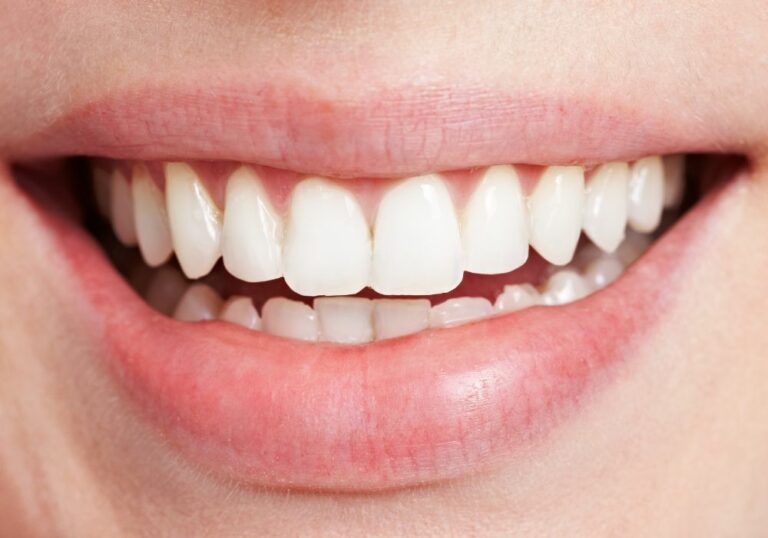 What are Teeth? A Friendly Guide to Understanding the Three Parts