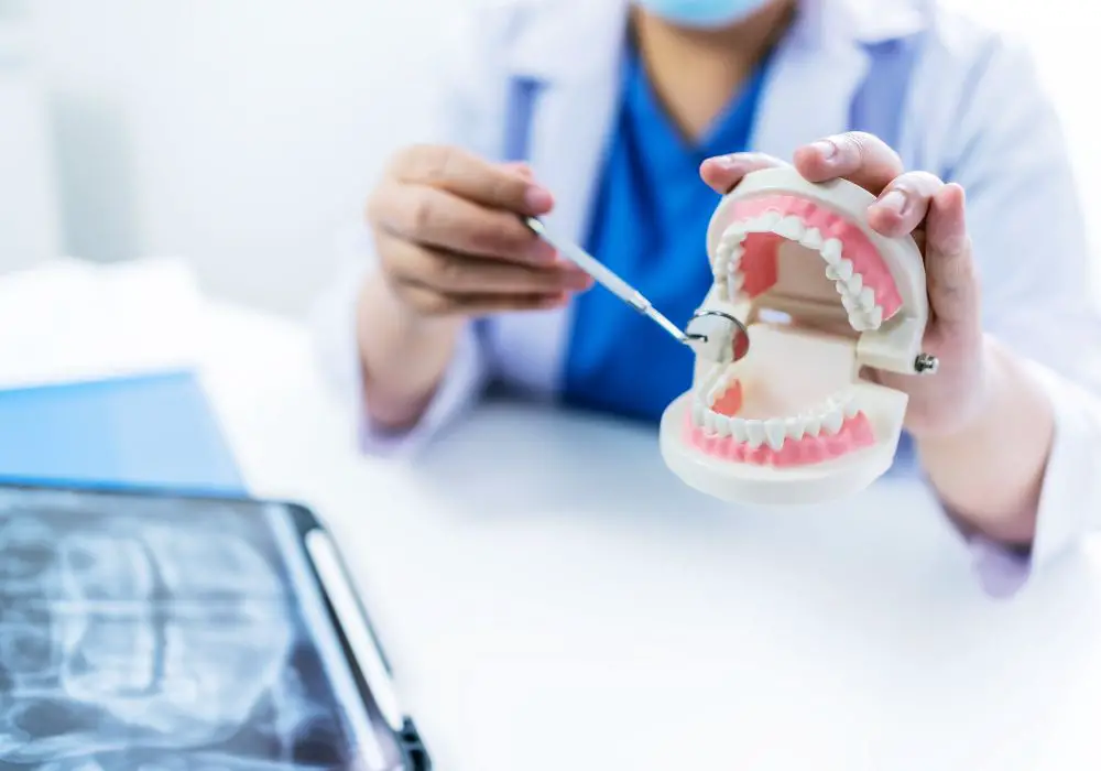 Explore Dentistry Careers Dental Assistant to Oral Surgeon